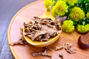 Rozchodnica ružová (Rhodiola rosea) – recenzie, účinky a ktorá je najlepšia?