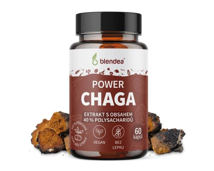 Blendea Chaga extrakt