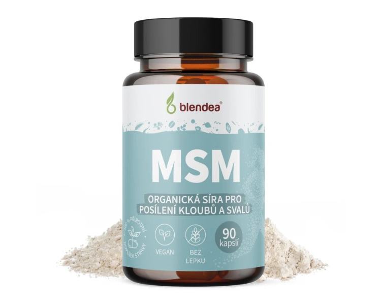 Blendea MSM