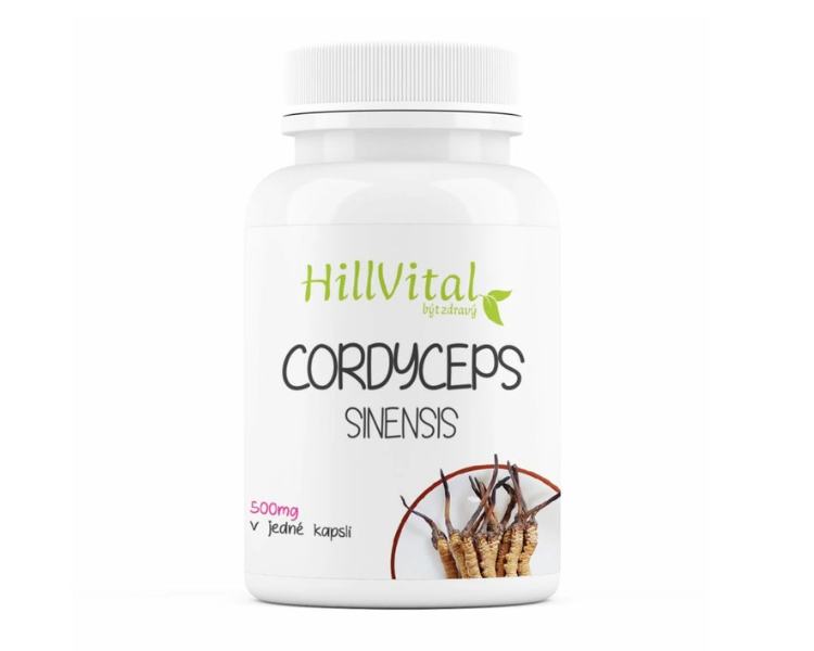 HillVital Cordyceps sinensis